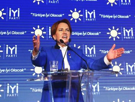 Meral Akşener, IYI Parti