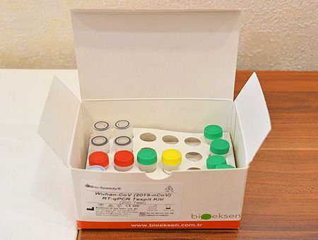 Detection test for coronavirus made in Turkey