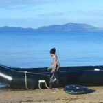 Migrants try to cross the Aegean between Turkey and Greece