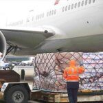 Turkish Airlines, cargo transport