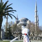 Istanbul, cleaning in Sultanahmet due to coronavirus