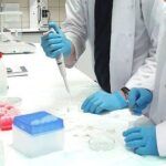 Scientists performing laboratory test