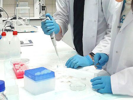 Scientists performing laboratory test