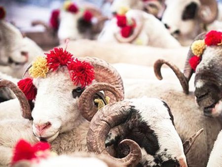 Turkey, Feast of Sacrifice