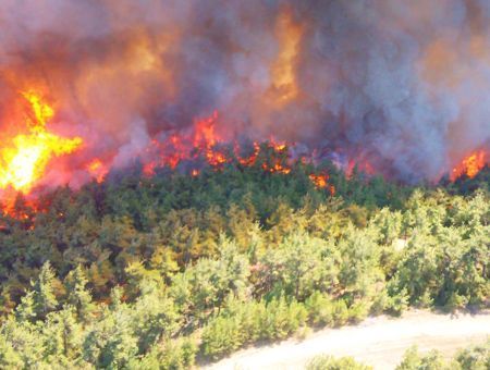 Turkey, forest fire in Gallipoli