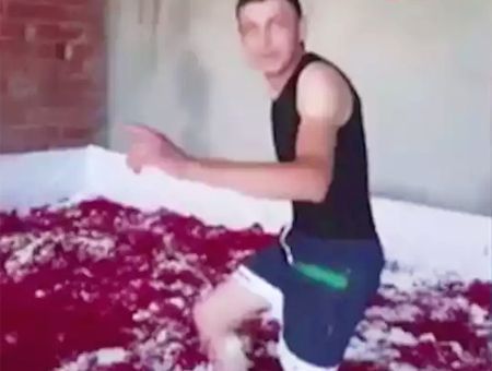Turkey, worker dancing in tomato sauce