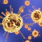 virus, coronavirus pandemic