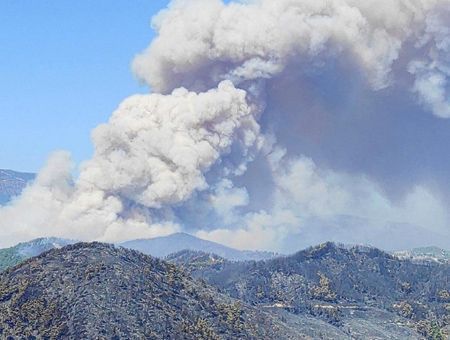 Turkey, forest fire in Hatay