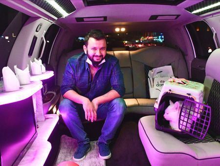 Turkey, cat travels in a limo