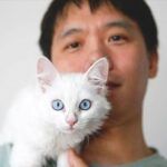 Turkey, Chinese student adopts Van cat