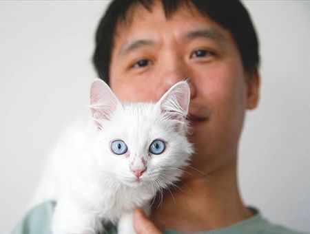 Turkey, Chinese student adopts Van cat