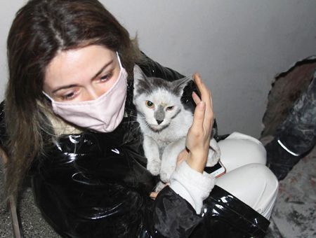 İzmir, cat rescued after earthquake