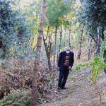 Turkey, The man who planted trees