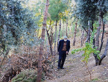 Turkey, The man who planted trees