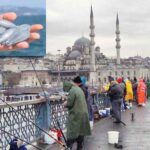 Istanbul's fishermen at Galata Bridge