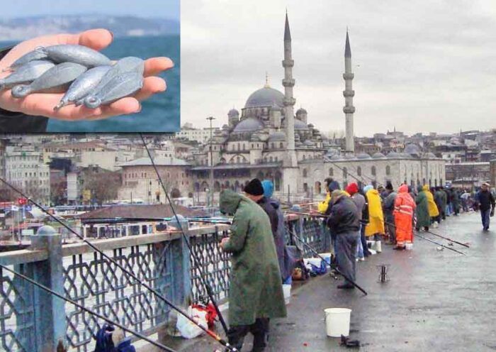 Istanbul's fishermen at Galata Bridge