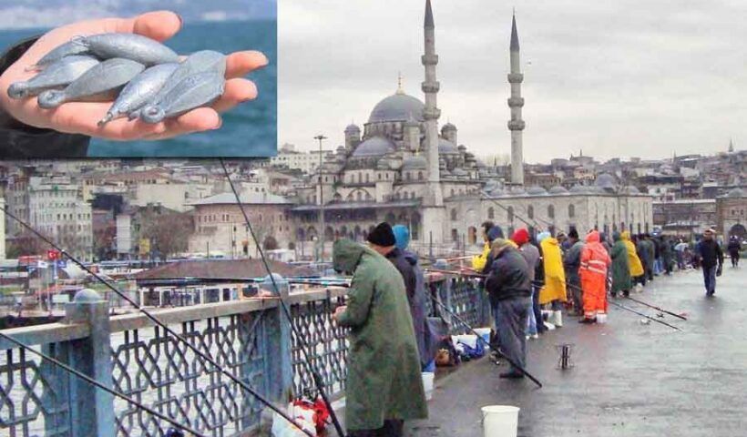 Istanbul's fishermen at Galata Bridge