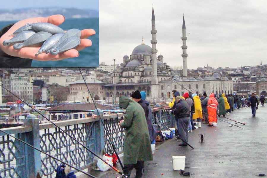 Istanbul's fishermen at Galata Bridge