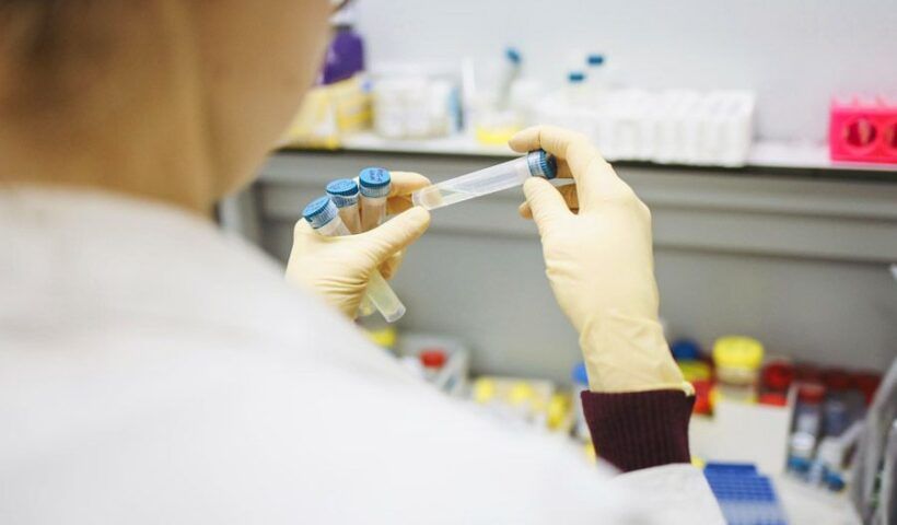 vaccines, investigation in a laboratory