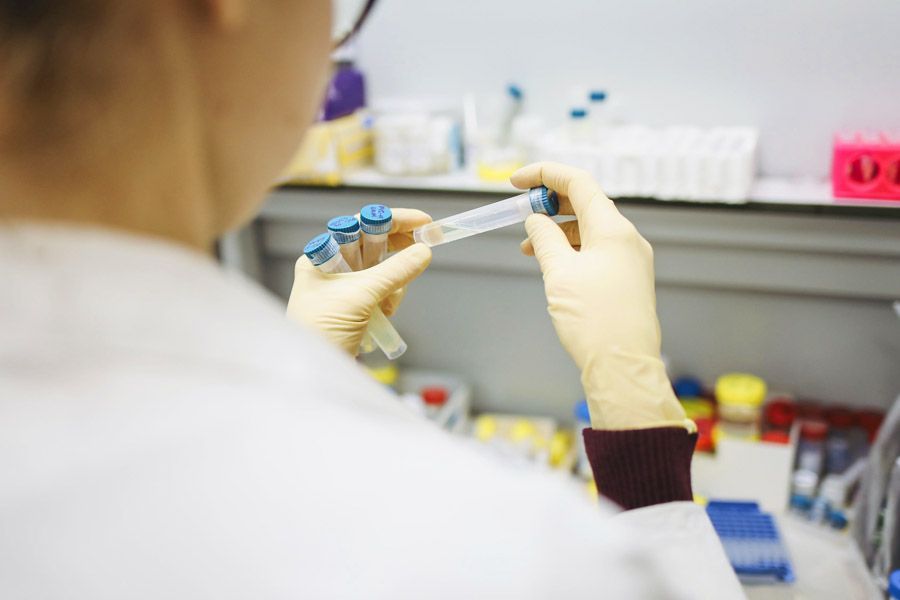 vaccines, investigation in a laboratory