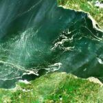 Turkey, sea snot in the Marmara