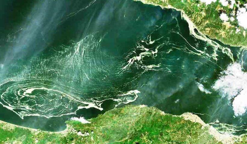 Turkey, sea snot in the Marmara