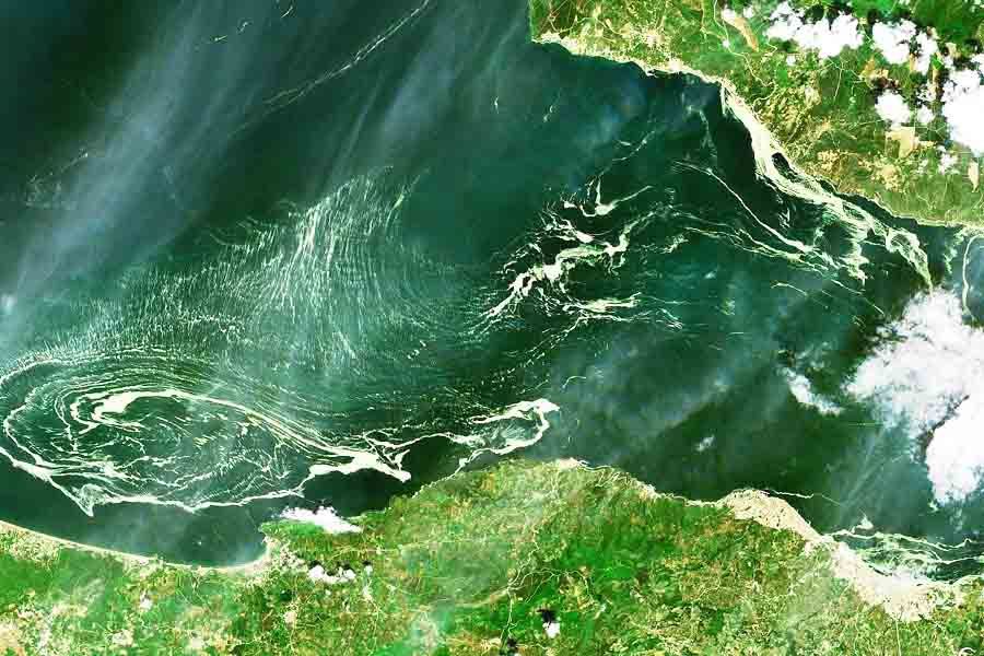 Turkey, sea snot in the Marmara