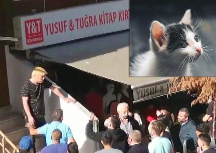 Turkey, Japanese deported for killing cats