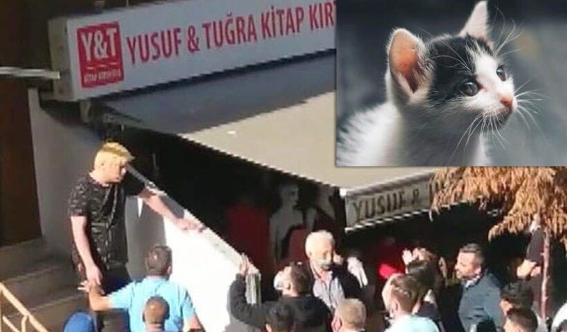 Turkey, Japanese deported for killing cats