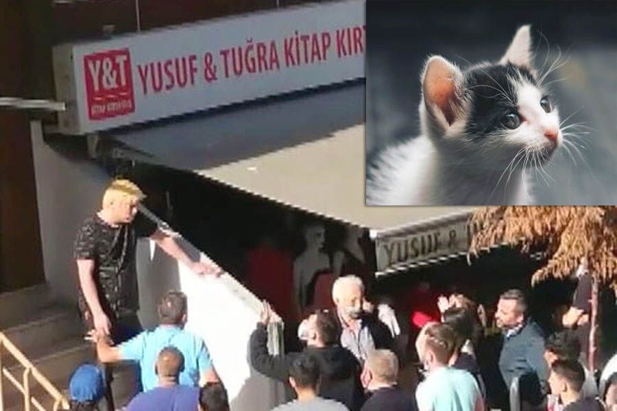 Turkey, Japanese deported for killing cats