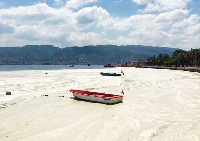 Turkey, sea snot in the Marmara