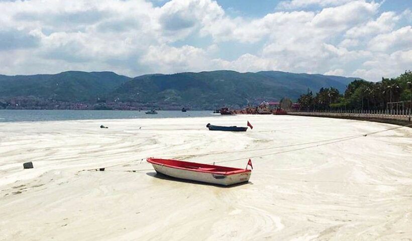 Turkey, sea snot in the Marmara