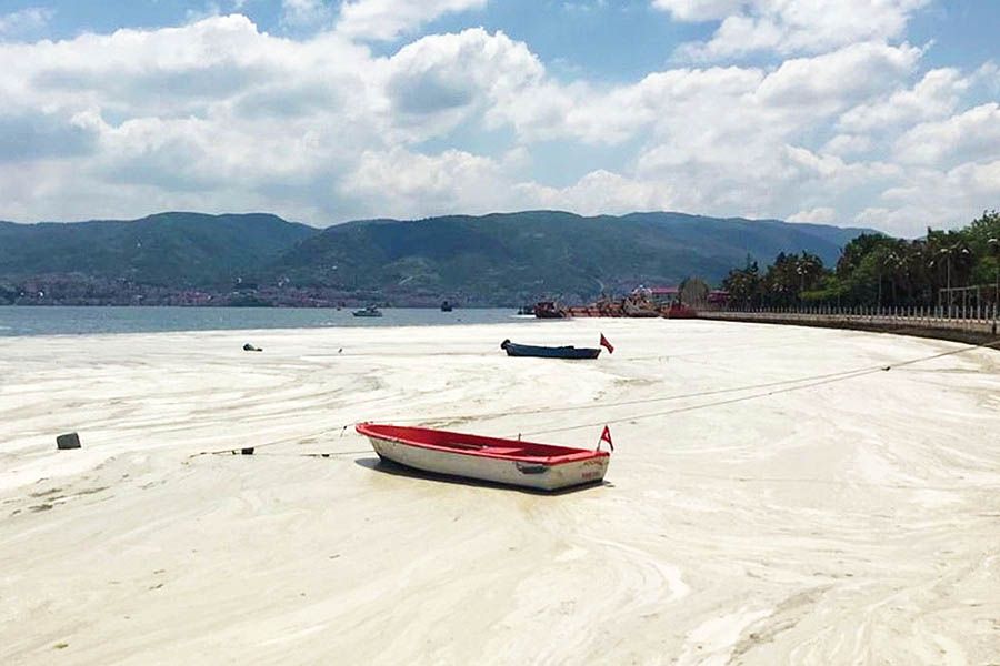 Turkey, sea snot in the Marmara