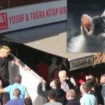 Turquía, japonés deportado por matar gatos y comerlos