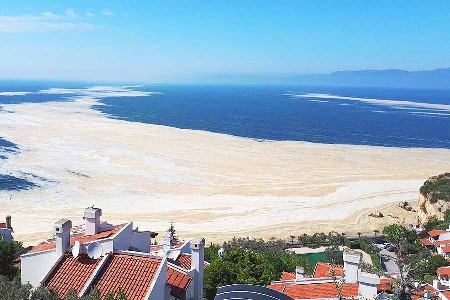 Turquía, moco marino (mucílago) en el Mar de Mármara