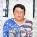 Brazil, Turkish pyramid scam fugitive detained
