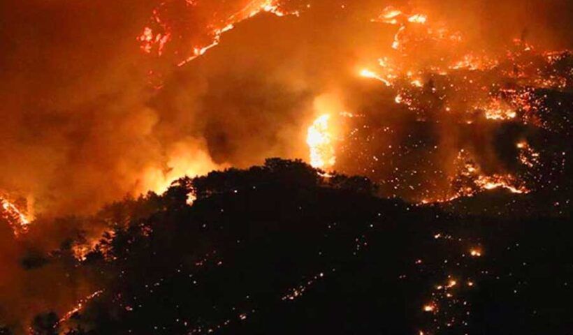 Turkey, forest fires in Mersin