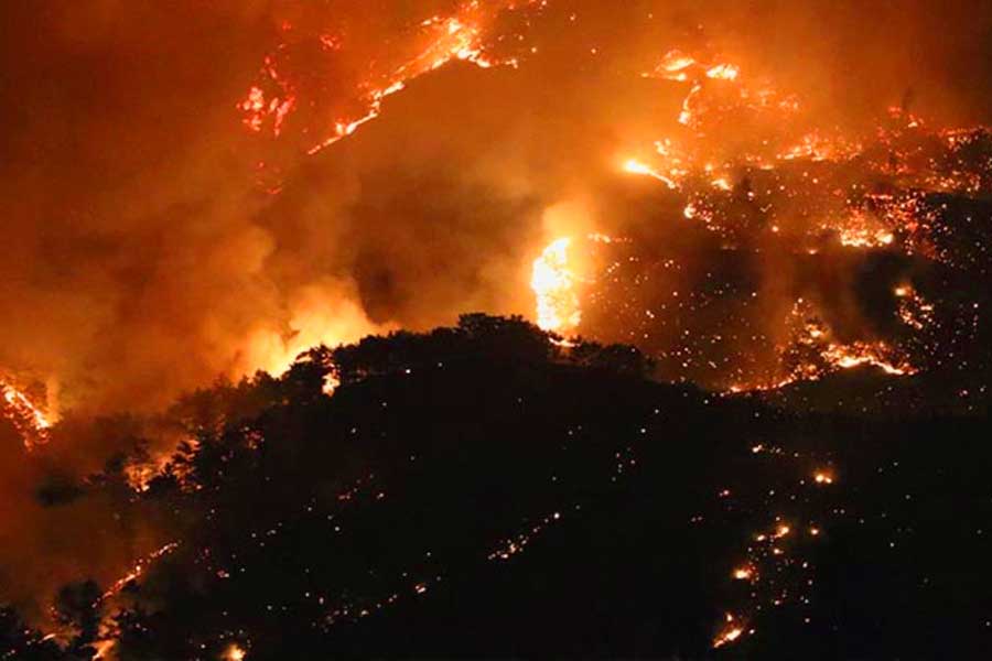 Turquía, incendios forestales en Mersin