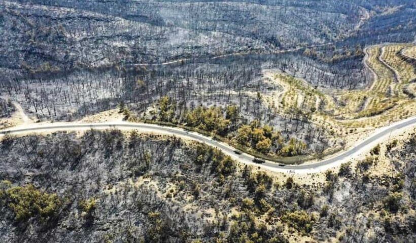 Turkey, consequences of wildfires in Antalya