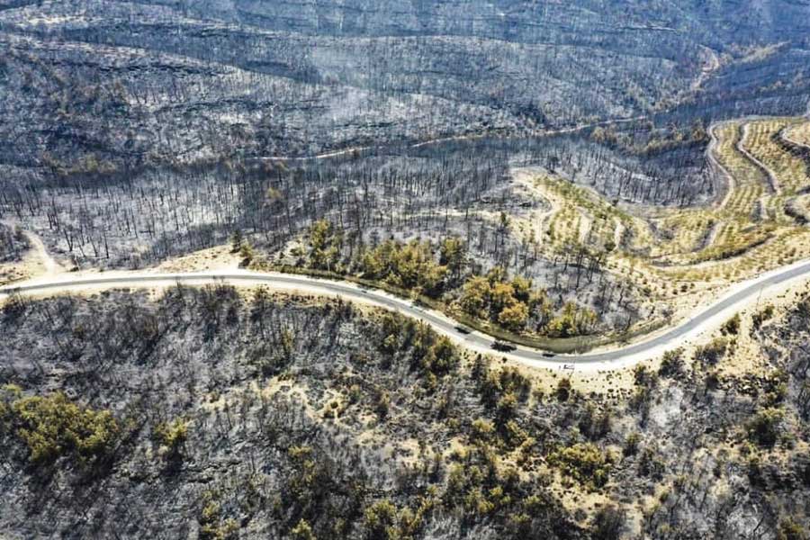 Turkey, consequences of wildfires in Antalya