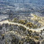 Turquía, consecuencias de los incendios forestales en Antalya
