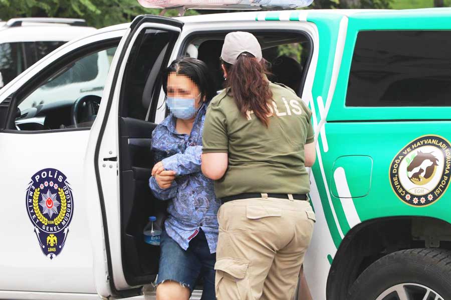 Ankara, mujer detenida por maltrato a perros
