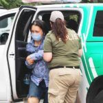 Ankara, woman detained for abusing dogs
