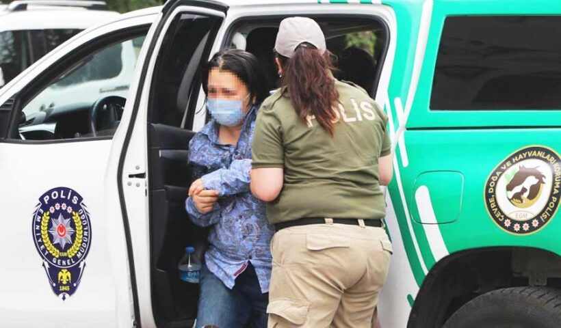 Ankara, woman detained for abusing dogs
