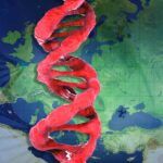 Turkey's genetic inheritance close to Europe
