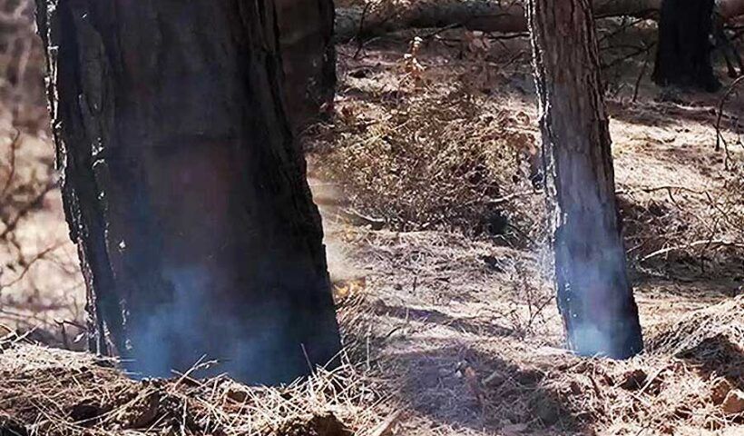 Turkey, smoke rises from forests burnt by wildfires