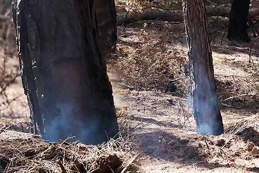 Turkey, smoke rises from forests burnt by wildfires