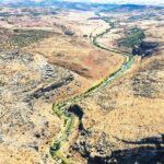 Turkey, man planted thousands of trees during 23 years