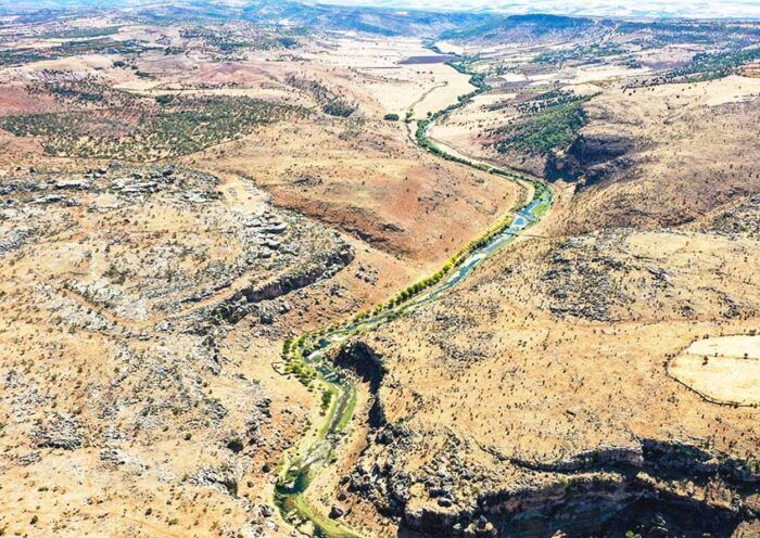 Turkey, man planted thousands of trees during 23 years