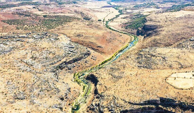 Turkey, man planted thousands of trees during 23 years